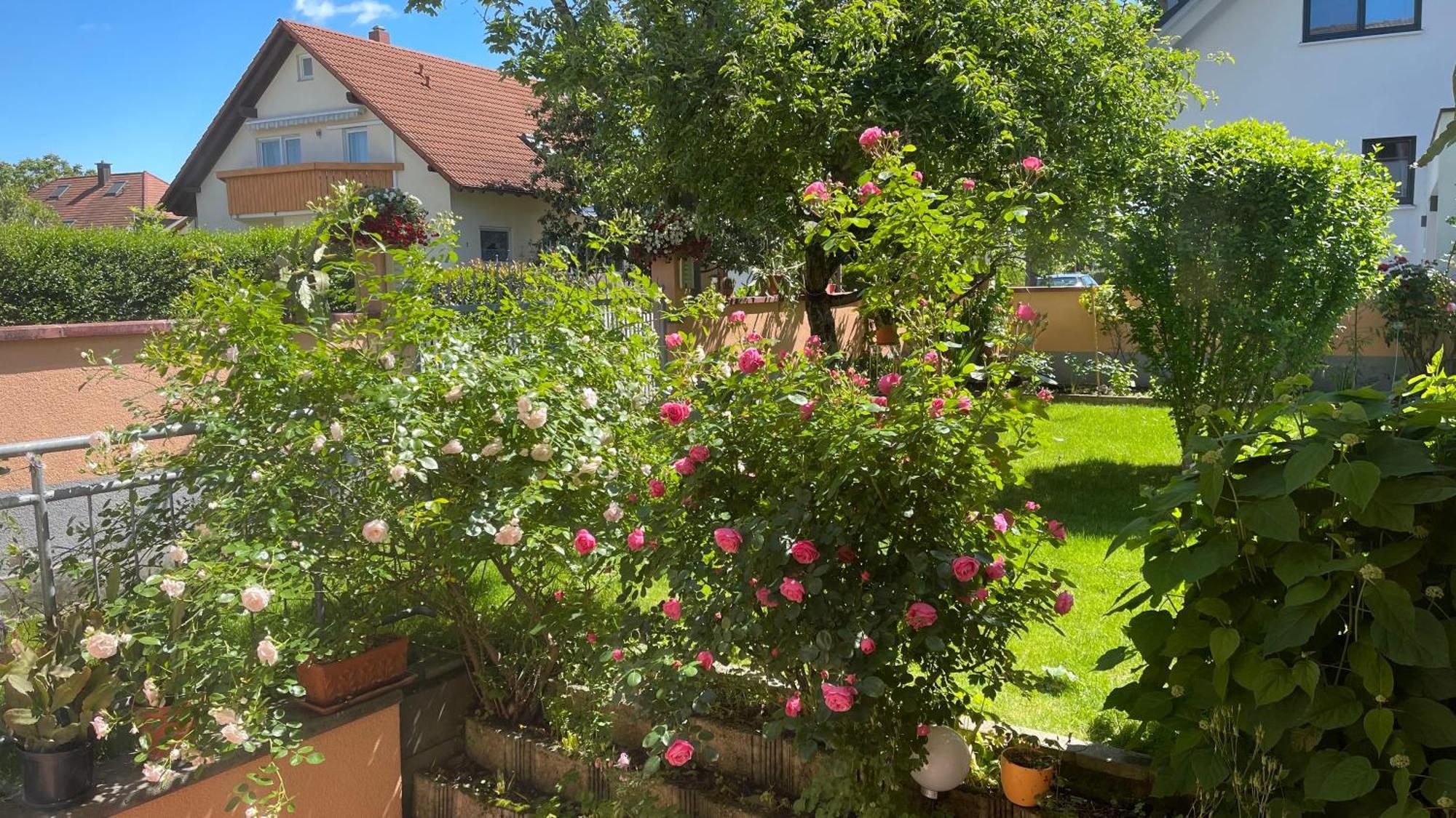 רוסט Ferienwohnung Am Eck מראה חיצוני תמונה